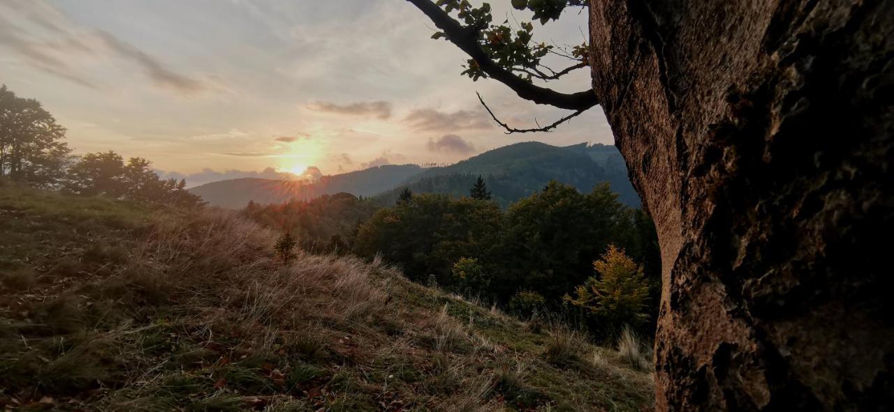 Penzion Rzehaczek Dolní Lomná Bagian luar foto