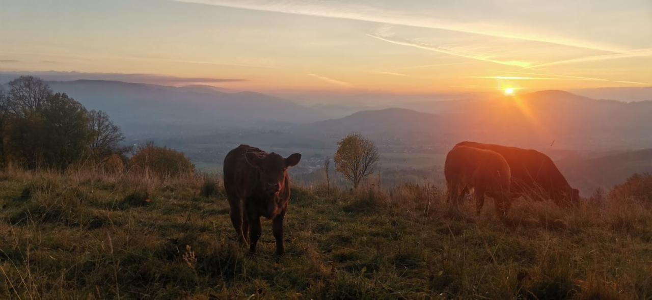Penzion Rzehaczek Dolní Lomná Bagian luar foto