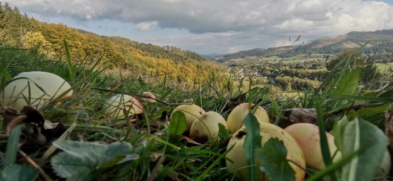 Penzion Rzehaczek Dolní Lomná Bagian luar foto