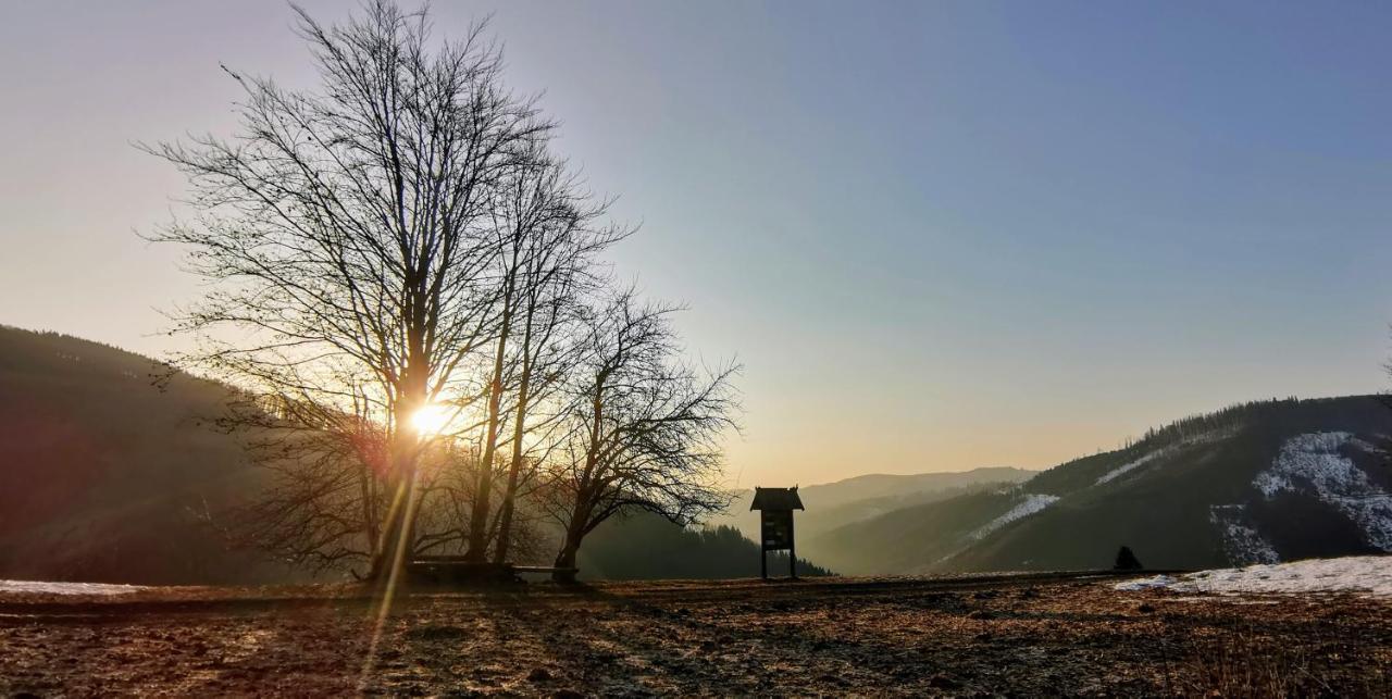 Penzion Rzehaczek Dolní Lomná Bagian luar foto