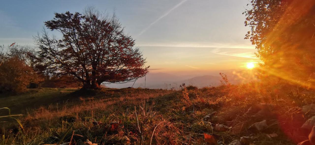 Penzion Rzehaczek Dolní Lomná Bagian luar foto