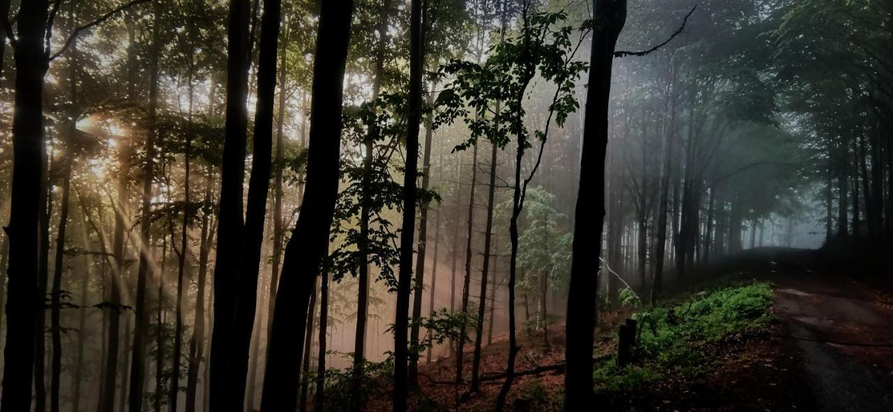 Penzion Rzehaczek Dolní Lomná Bagian luar foto