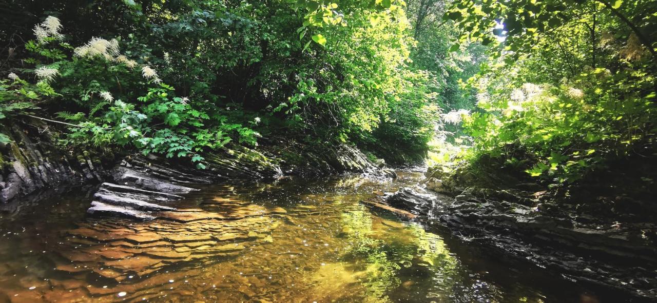Penzion Rzehaczek Dolní Lomná Bagian luar foto