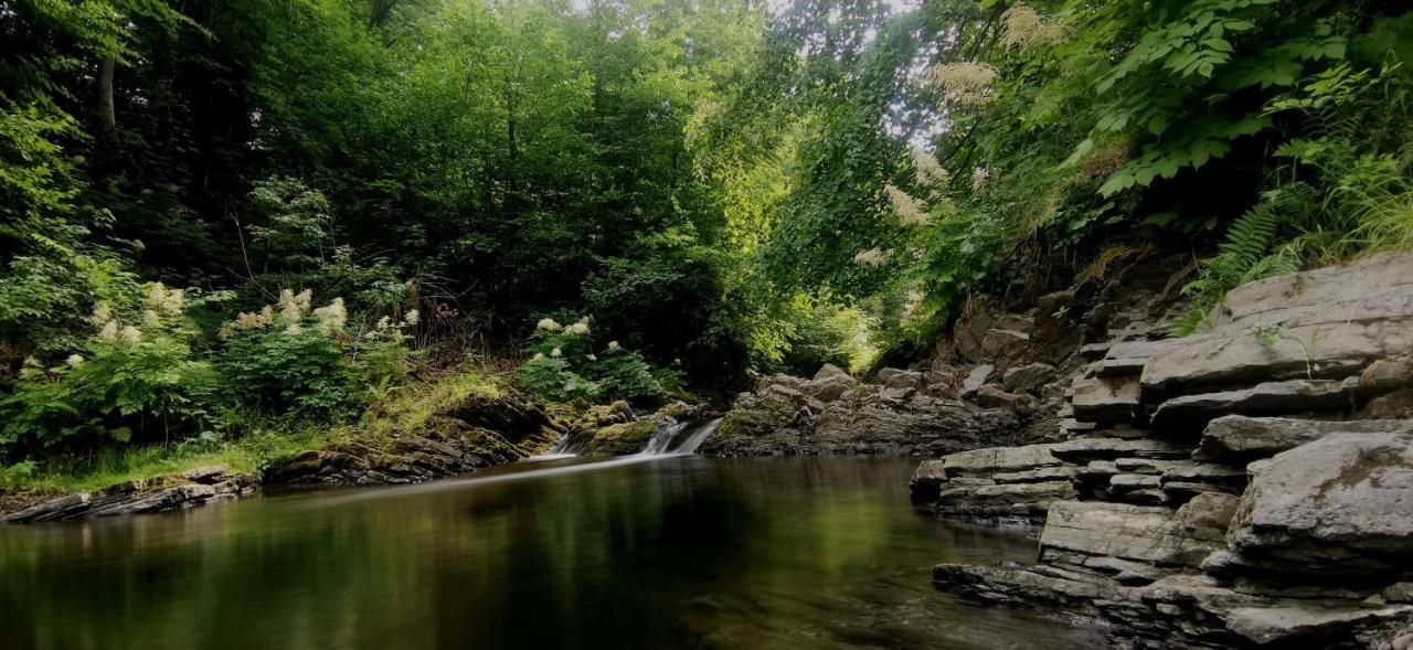 Penzion Rzehaczek Dolní Lomná Bagian luar foto