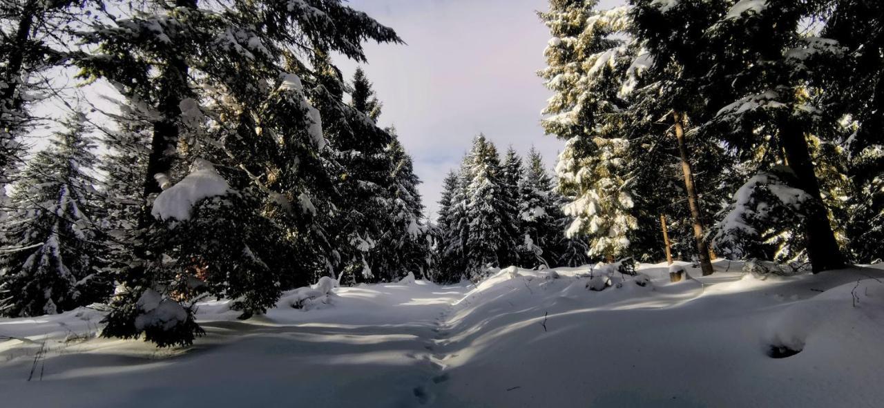 Penzion Rzehaczek Dolní Lomná Bagian luar foto