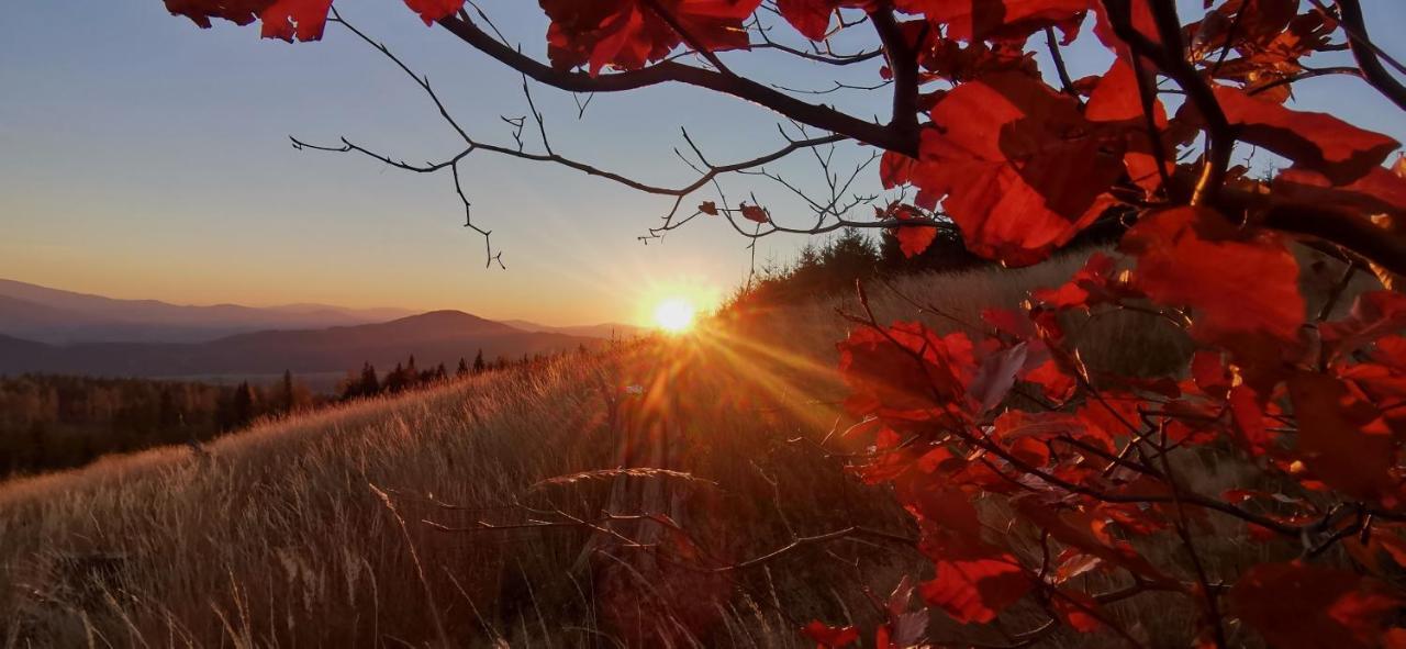 Penzion Rzehaczek Dolní Lomná Bagian luar foto