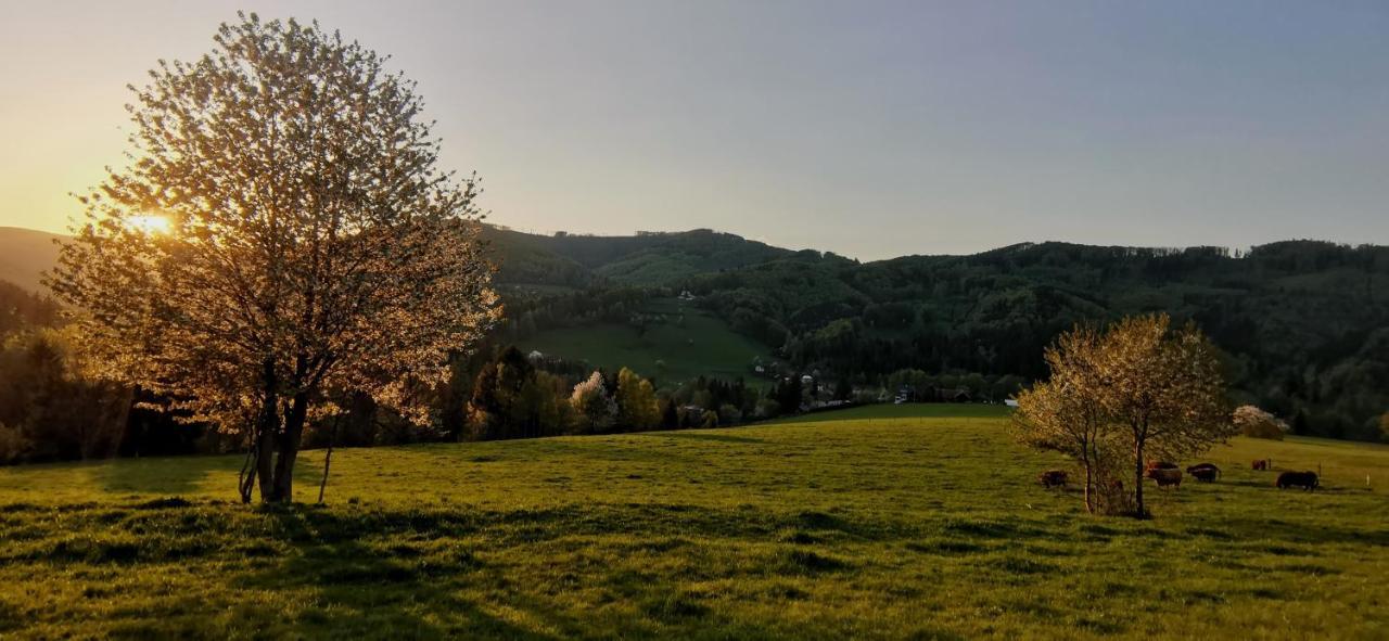 Penzion Rzehaczek Dolní Lomná Bagian luar foto