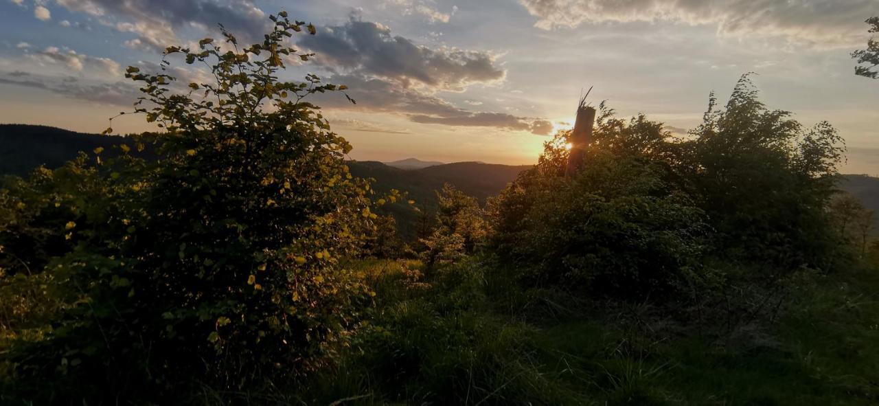 Penzion Rzehaczek Dolní Lomná Bagian luar foto
