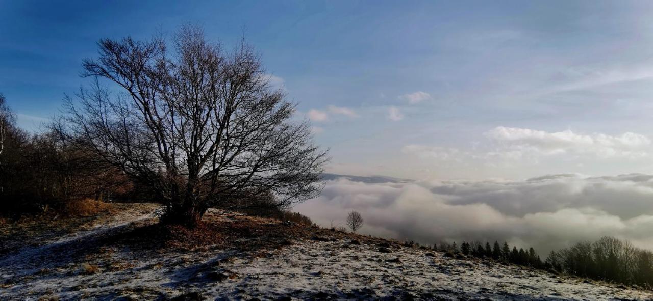 Penzion Rzehaczek Dolní Lomná Bagian luar foto