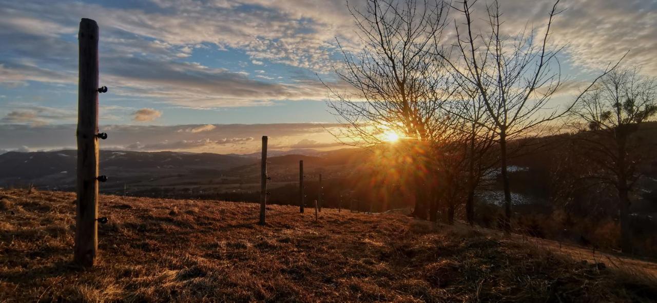 Penzion Rzehaczek Dolní Lomná Bagian luar foto