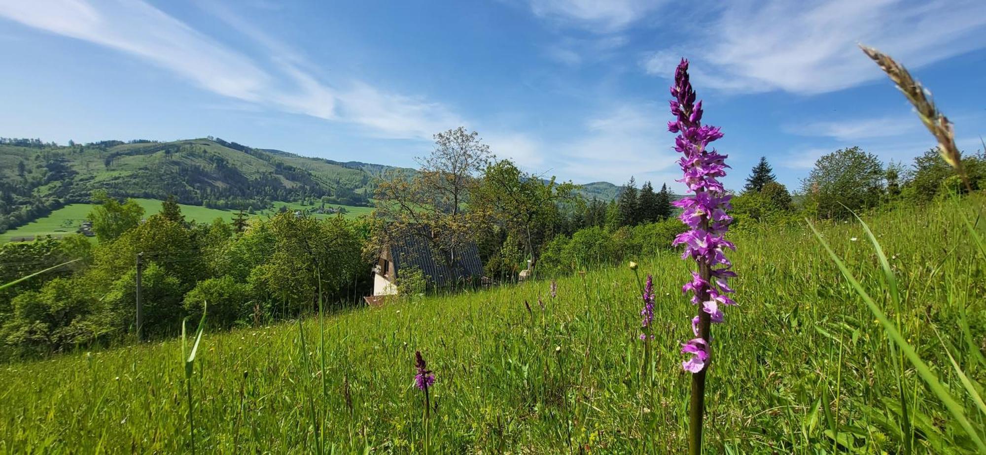 Penzion Rzehaczek Dolní Lomná Bagian luar foto